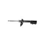 Gabriel Ride Control G52204 Premium Struts for Passenger Cars, Light Trucks and SUVs