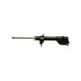 Gabriel Ride Control G52260 Premium Struts for Passenger Cars, Light Trucks and SUVs