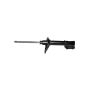 Gabriel Ride Control G52333 Premium Struts for Passenger Cars, Light Trucks and SUVs
