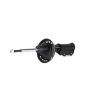 Gabriel Ride Control G52435 Premium Struts for Passenger Cars, Light Trucks and SUVs