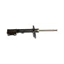 Gabriel Ride Control G56734 Premium Struts for Passenger Cars, Light Trucks and SUVs