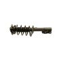 Gabriel Ride Control G57070 Fully Loaded Strut Assembly