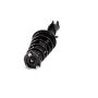 Gabriel Ride Control G57534 Fully Loaded Strut Assembly