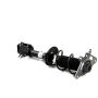 Gabriel Ride Control G57796 Fully Loaded Strut Assembly