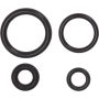 Autopart International Fuel Injector Seal Kit GBR8001