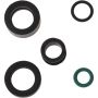 Autopart International Fuel Injector Seal Kit GBR8016