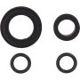 Autopart International Fuel Injector Seal Kit GBR8037