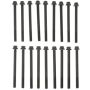 MAHLE GS33379 Engine Cylinder Head Bolt Set