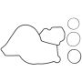 MAHLE GS33840 Engine Water Pump Mounting Gasket