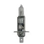 Hella H1 24V DP Bulb, headlight