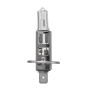Hella H1LL HELLA H1LL Long Life Series Halogen Light Bulb