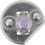 Philips H1XVB2 Philips X-tremeVision Headlight H1