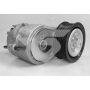 Hutchinson T0648 Poly V® tensioner