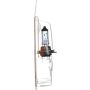 Philips H7MVB1 Philips MotoVision Bulb H7