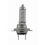 Hella H7P50TB HELLA H7P50TB Performance Series Halogen Light Bulb