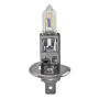 Hella H83115061 BULB H1 12V 100W YLW STR             8GH
