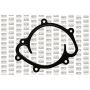 Hepu P1522 Engine Water Pump