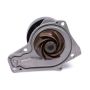 Hepu P442 Engine Water Pump