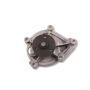 Hepu P495 Engine Water Pump