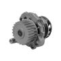 Hepu P547 Engine Water Pump