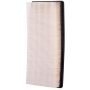 PARTS PLUS AF1031 Engine Air Filter