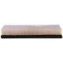 PARTS PLUS AF1031 Engine Air Filter
