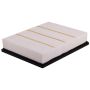 PARTS PLUS AF1519 Engine Air Filter