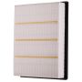 PARTS PLUS AF1519 Engine Air Filter