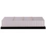 PARTS PLUS AF1519 Engine Air Filter
