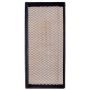 PARTS PLUS AF1613 Engine Air Filter