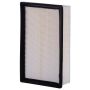 PARTS PLUS AF1623 Engine Air Filter