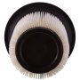 PARTS PLUS AF1641 Engine Air Filter