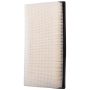 PARTS PLUS AF1679 Engine Air Filter