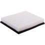 PARTS PLUS AF3176 Engine Air Filter