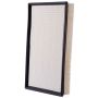PARTS PLUS AF3590 Engine Air Filter