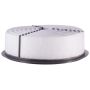 PARTS PLUS AF359 Engine Air Filter
