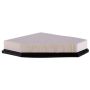 PARTS PLUS AF3935 Engine Air Filter