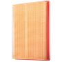 PARTS PLUS AF3966 Engine Air Filter