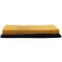 PARTS PLUS AF3976 Engine Air Filter