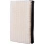 PARTS PLUS AF4011 Engine Air Filter