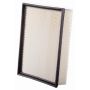 PARTS PLUS AF4026 Engine Air Filter