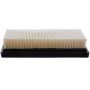PARTS PLUS AF5216 Engine Air Filter