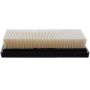 PARTS PLUS AF5216 Engine Air Filter