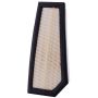 PARTS PLUS AF5698 Engine Air Filter