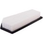 PARTS PLUS AF5698 Engine Air Filter