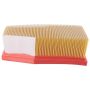PARTS PLUS AF6281 Engine Air Filter