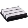 PARTS PLUS AF7843 Engine Air Filter