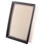 PARTS PLUS AF7849 Engine Air Filter