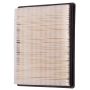 PARTS PLUS AF7879 Engine Air Filter