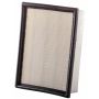 PARTS PLUS AF7885 Engine Air Filter